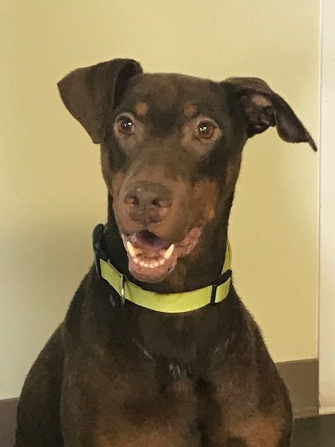 Axel